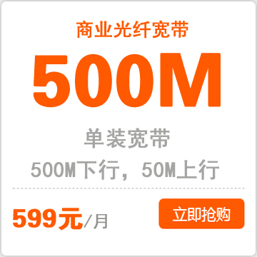 商务专线单宽带500M：599元/月