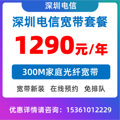 城中村套餐300M：1290元/年